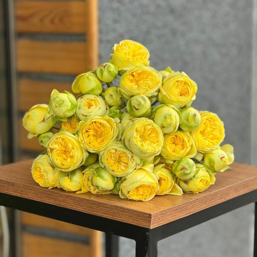 Кустовые пионовидные розы-Peony Bubbles